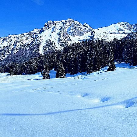 Appartamento Campiglio Trilocale Monte Spinale Madonna Camera foto
