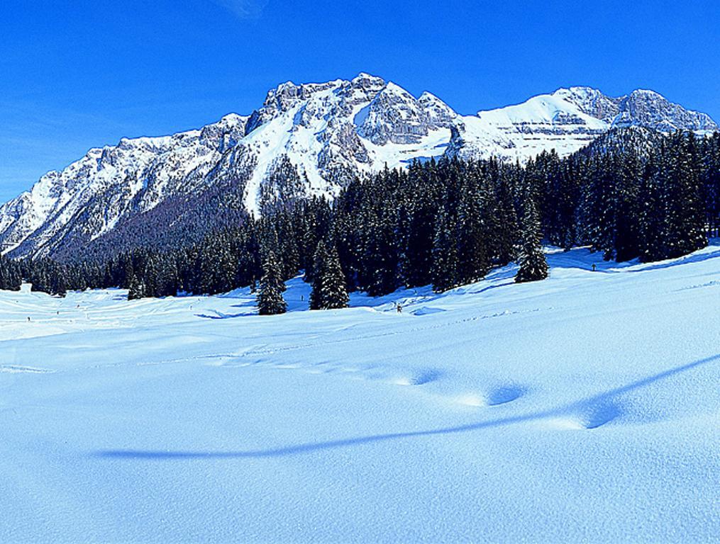 Appartamento Campiglio Trilocale Monte Spinale Madonna Camera foto
